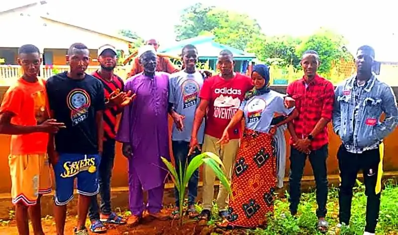 Jeunes après une plantation d'arbres
